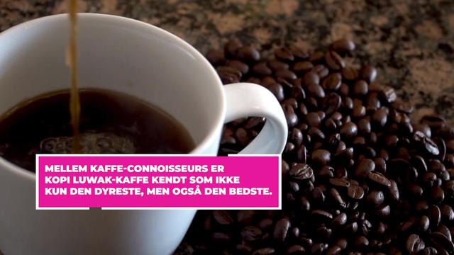 Kaffe