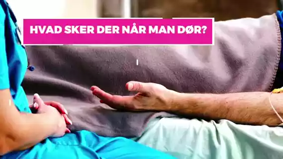 Afspil video