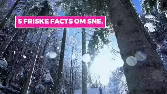 Afspil video