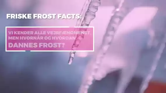 Afspil video