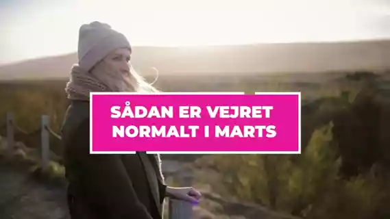 Afspil video
