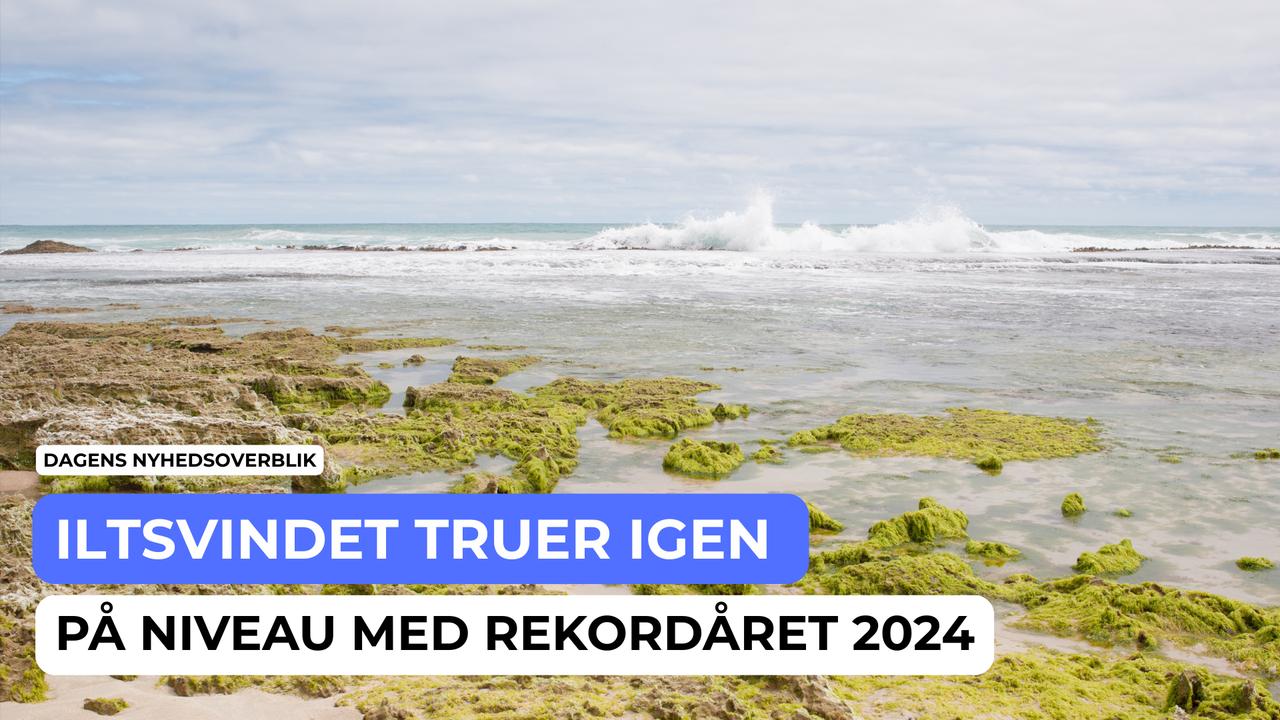 Iltsvindet truer igen – på niveau med rekordåret 2024 - Dagens Nyhedsoverblik