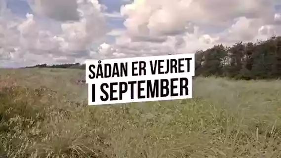 Afspil video
