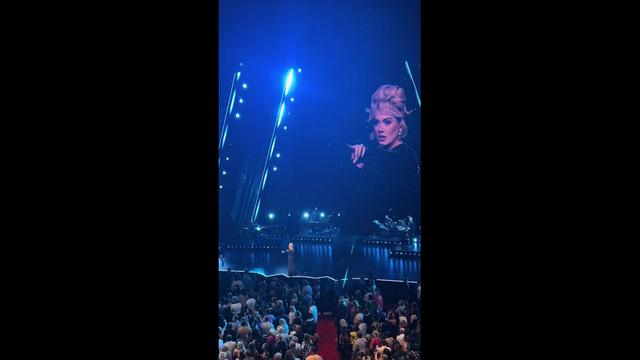 Adele afbrød lørdag en koncert i Las Vegas og skældte sikkerhedsfolkene ud for at genere en ung koncertgænger