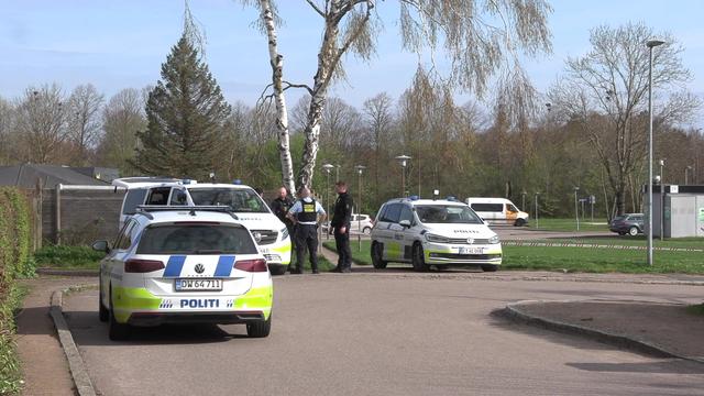Hunde beskyttede livløs kvinde: To hunde skudt af politiet