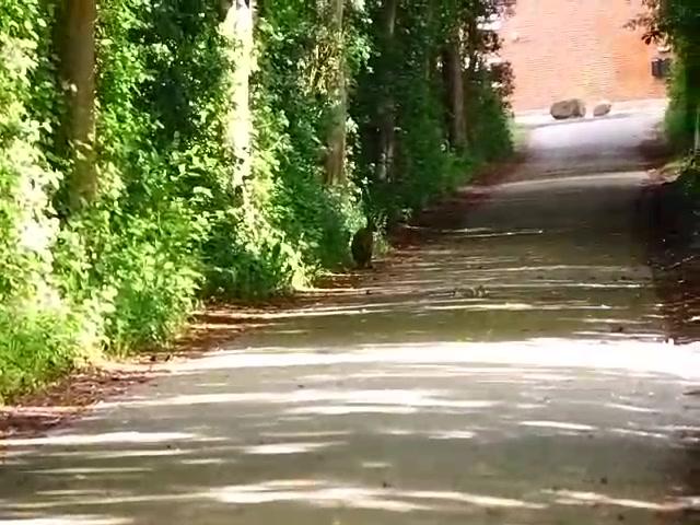 Næstved : Søndag morgen har borgere i Næstved oplevet at spotte en kænguru. Den er undsluppet fra Næstved Zoo. Personalet i Zoo er underrettet samt politi. Når man har fået samlet personalet ville man forsøge at indfange dyret.