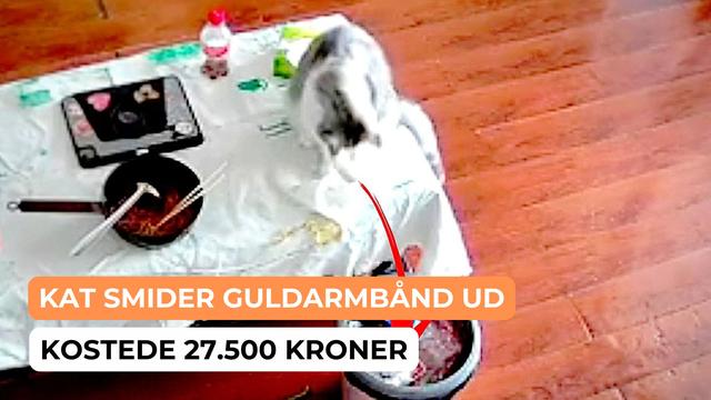 En kvinde i Guilin smed ved et uheld et guldarmbånd til over 4.000 dollars ud sammen med affaldet. Overvågningsoptagelser afslørede senere, at hendes kæledyr havde gemt smykket i skraldet, før hun kunne nå at opdage det.