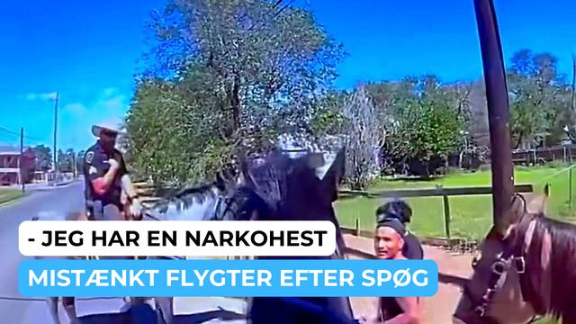 En bizar politihændelse i Lubbock, Texas: To mænd blev standset af ridende betjente, da en af betjentene formentlig for sjov bemærkede, at hans hest kunne lugte narkotika. Øjeblikkeligt satte den ene mistænkte i løb.